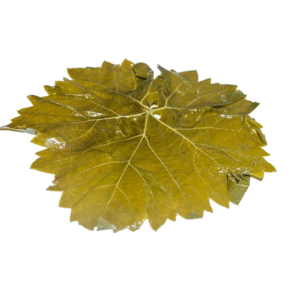 Виноградный лист соленый