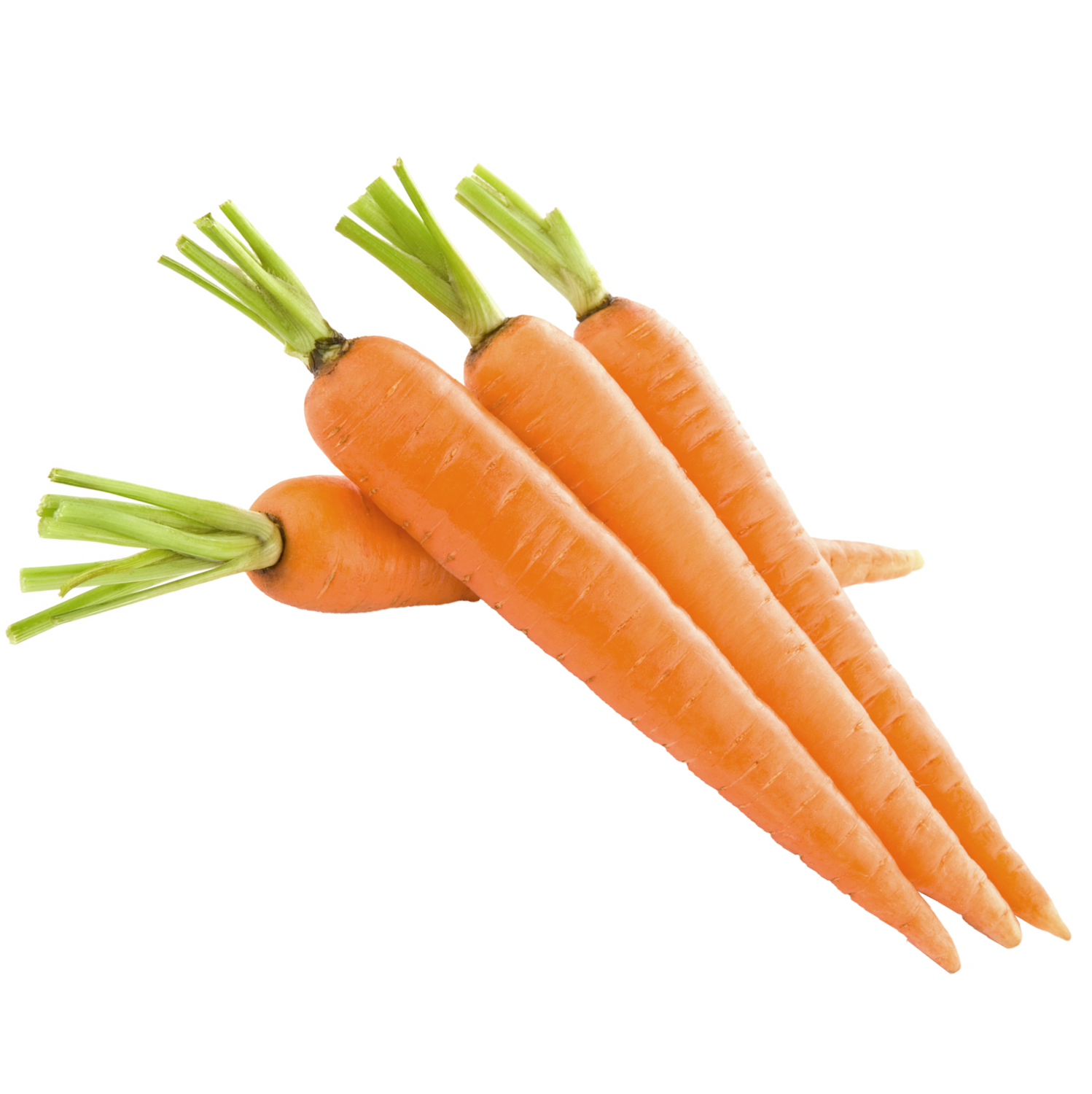 Морковь Мытая